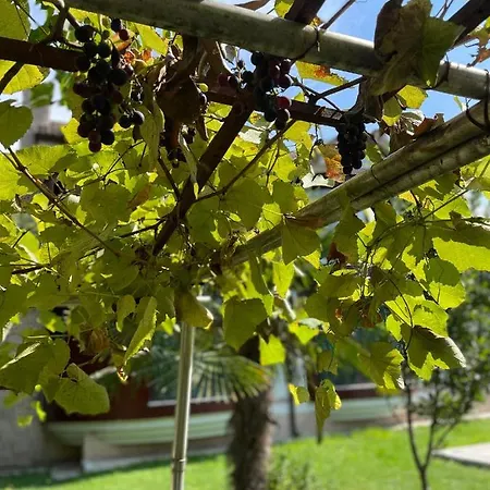 Aynali Kosk * Sapanca